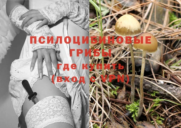 амф Абинск