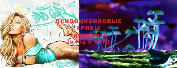амф Абинск