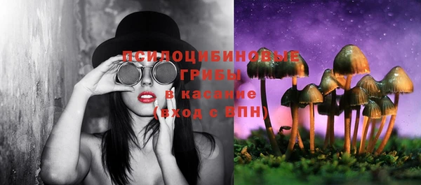 амф Абинск